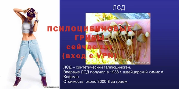 гашик Рославль